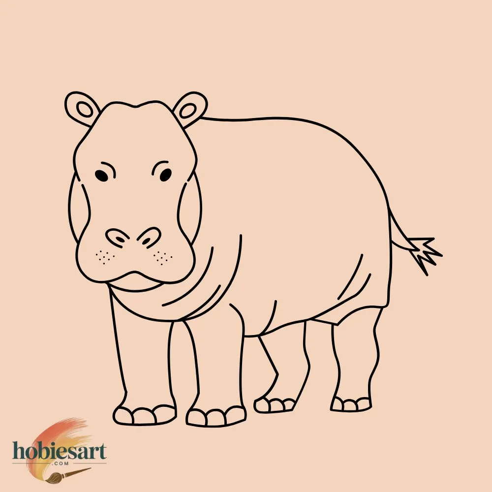 Hippopotamus