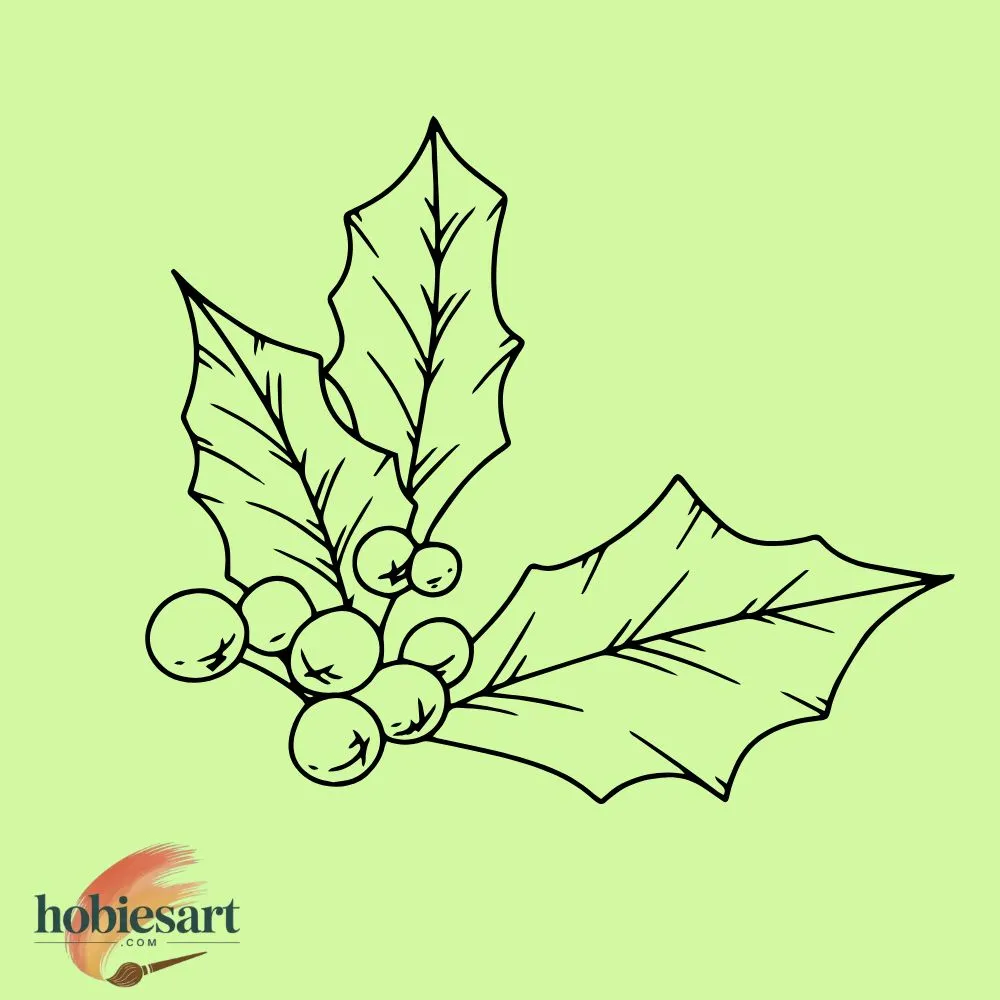 Holly