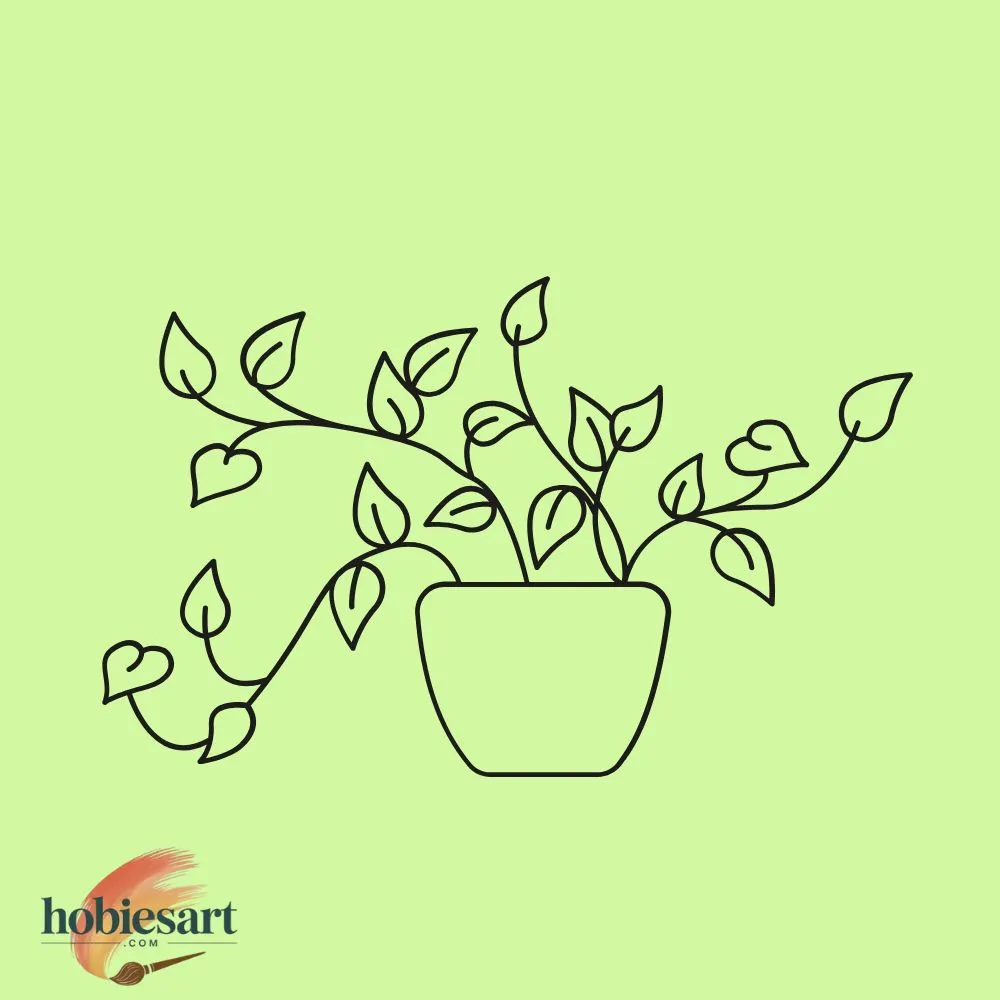 Houseplant