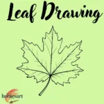 Leaf Drawing