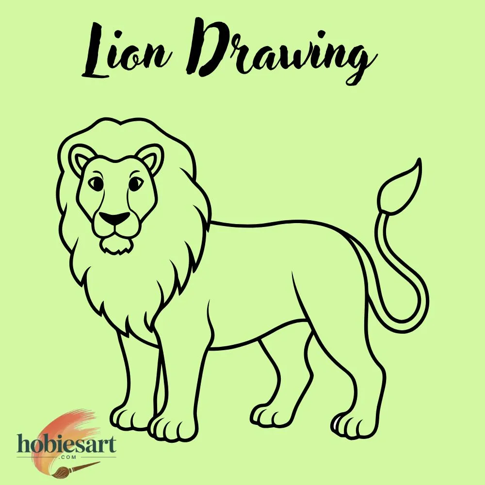 Lion Drawing