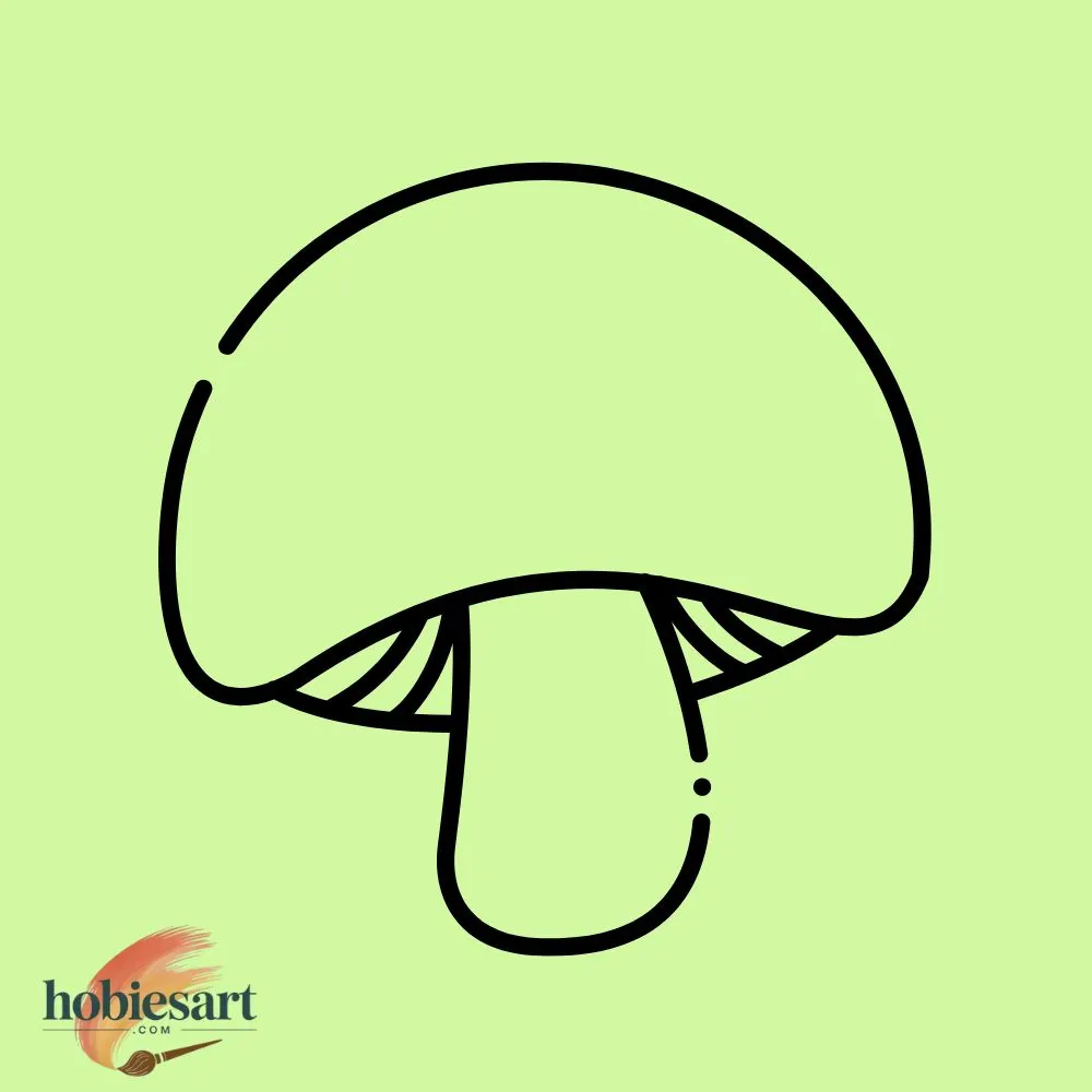 Mushroom Cap