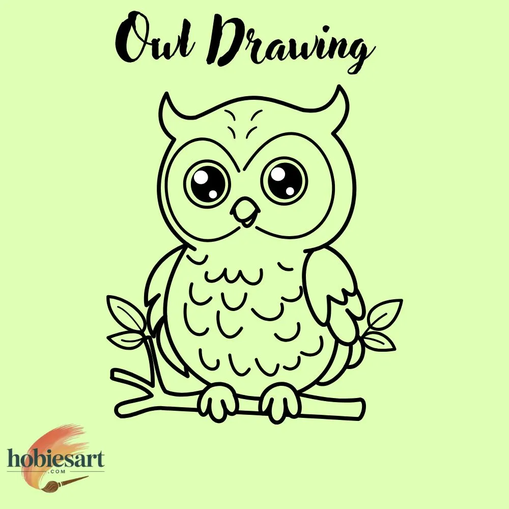 Owl Drawing Tips