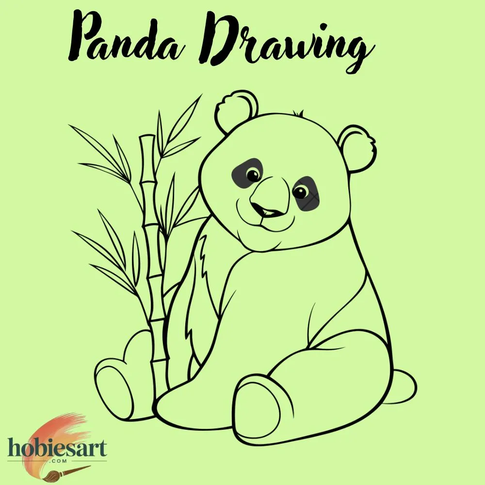 Panda Drawing