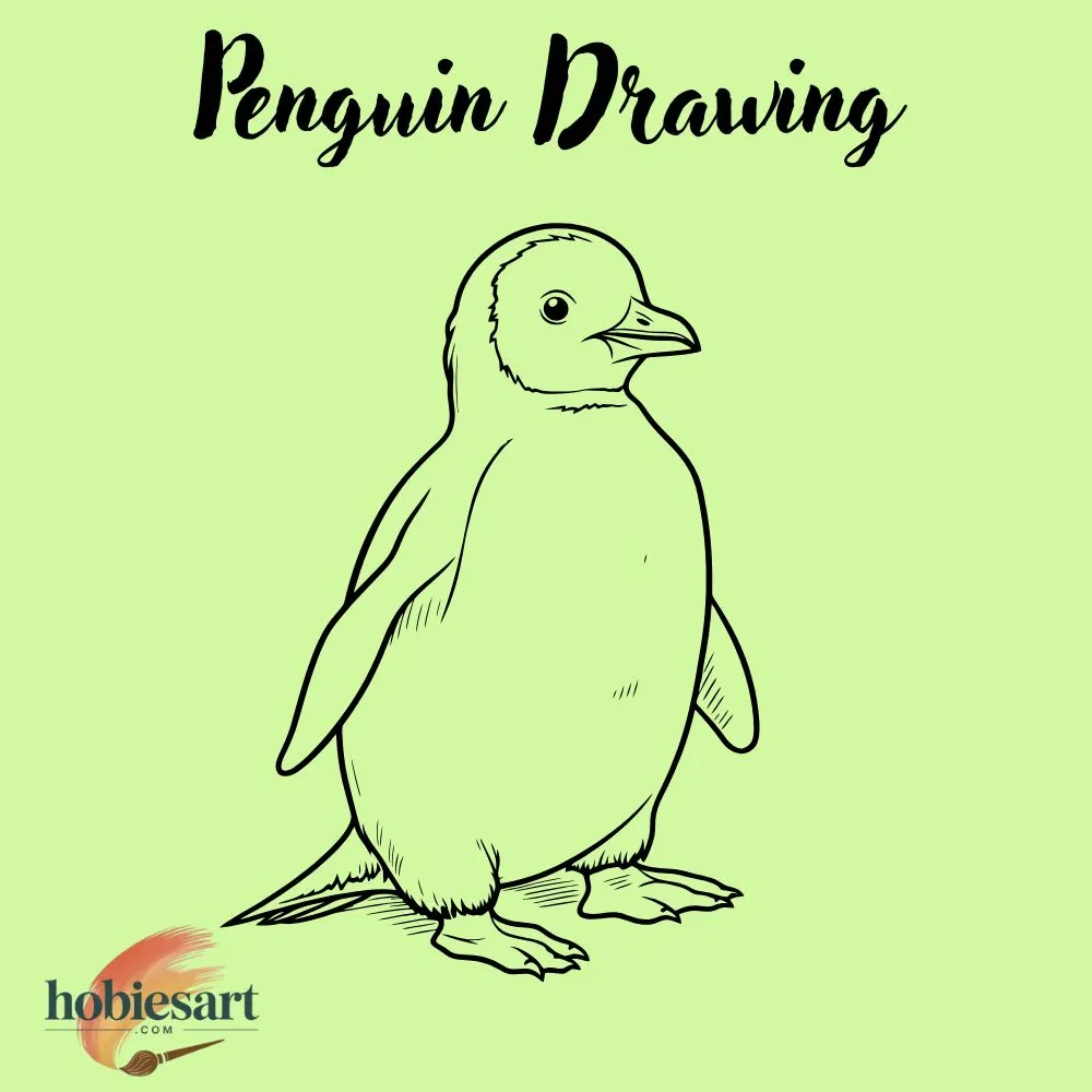 Penguin Drawing