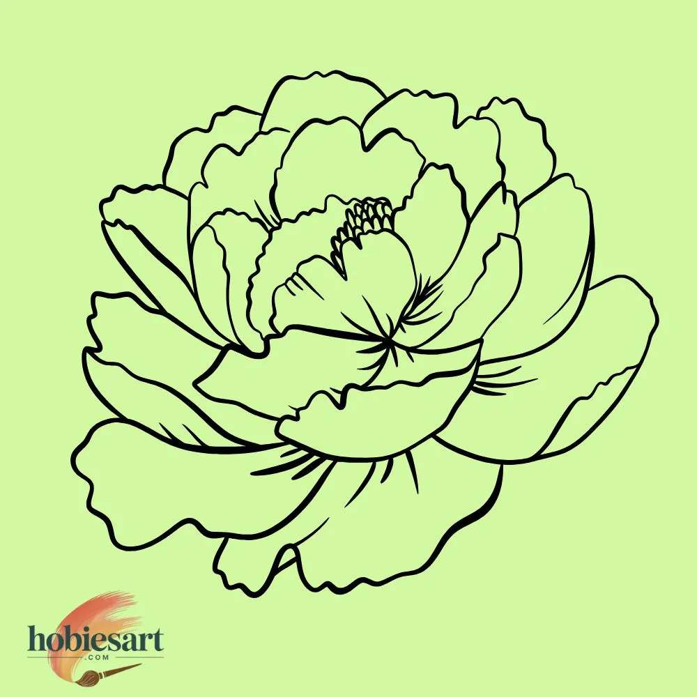 Peonies in Bloom