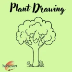 Plant Drawing
