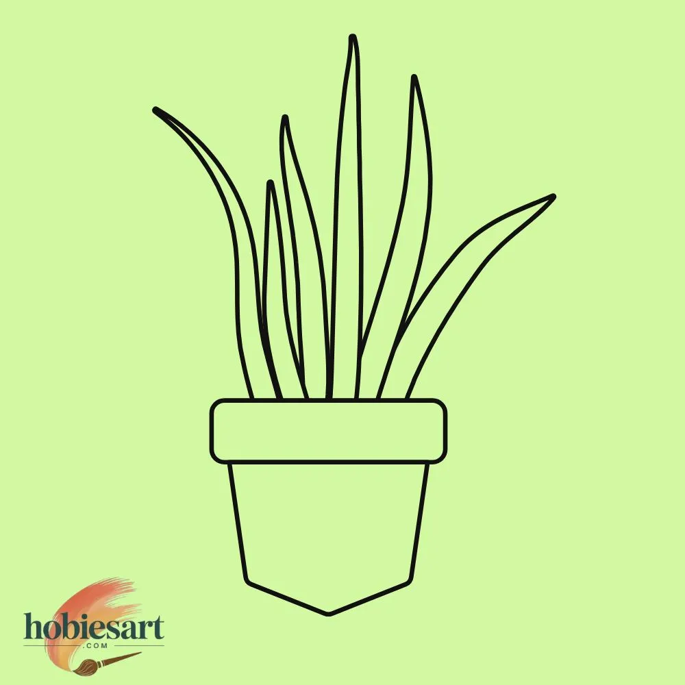 Potted Aloe Vera Plant