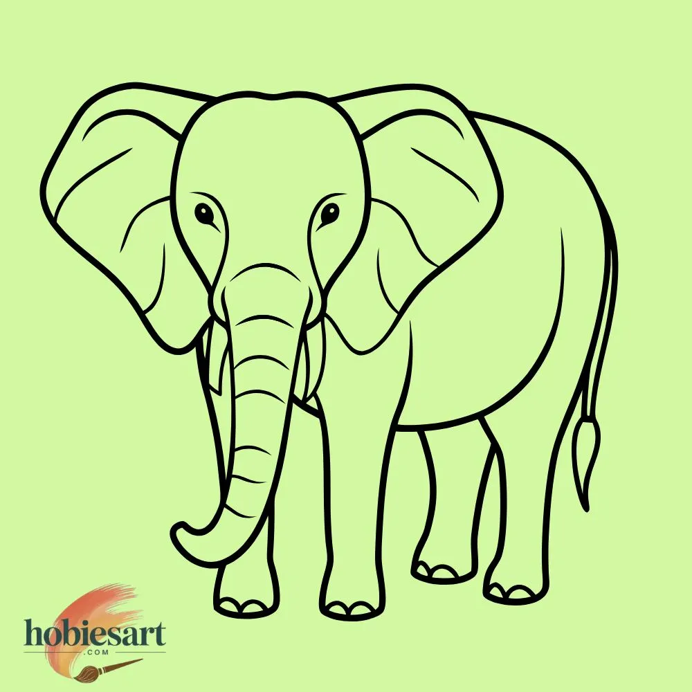 Realistic Elephant