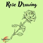 Rose Drawing