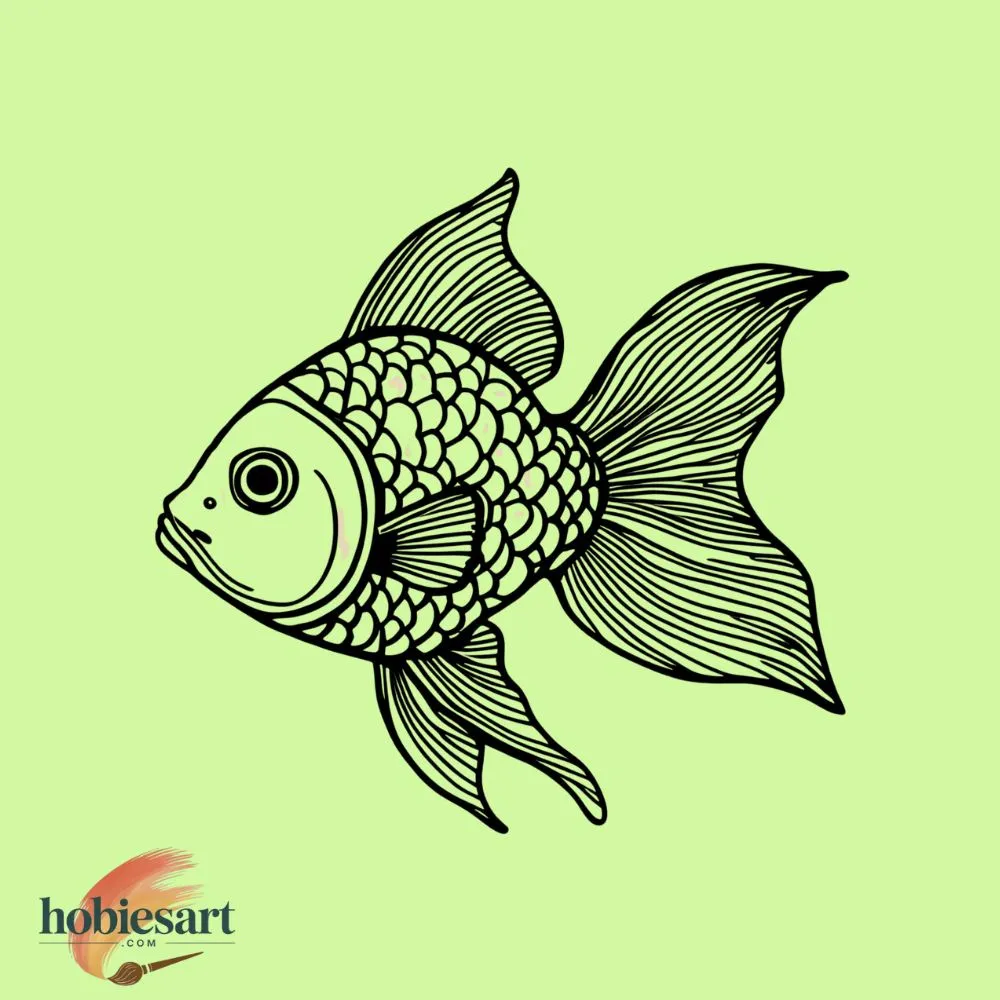 Shy Goldfish