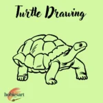 Turtle Drawing