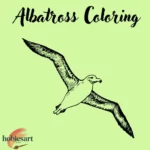 Albatross Coloring