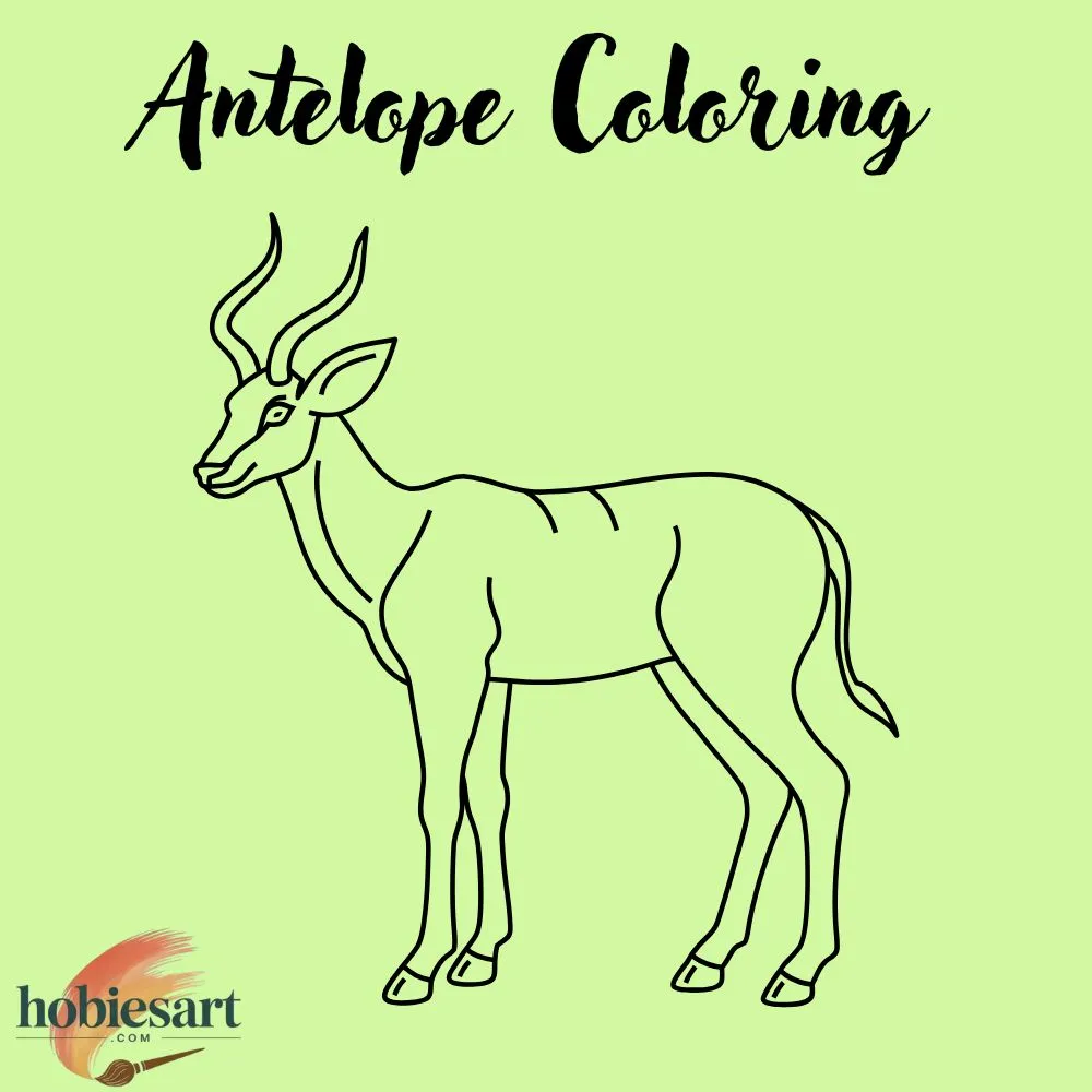 Antelope Coloring