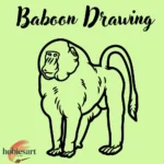 Baboon Drawing