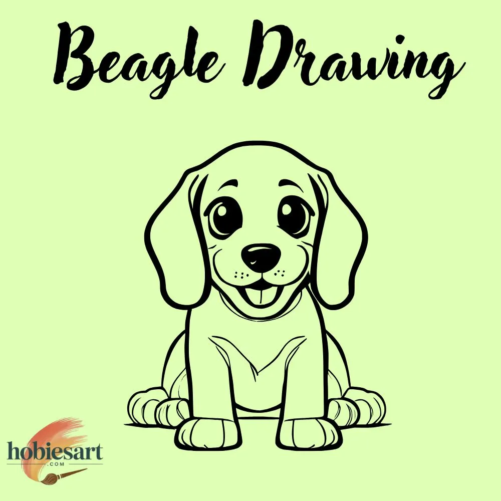 Beagle Drawing