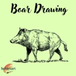 Boar Drawing