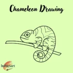 Chameleon Drawing