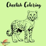 Cheetah Coloring