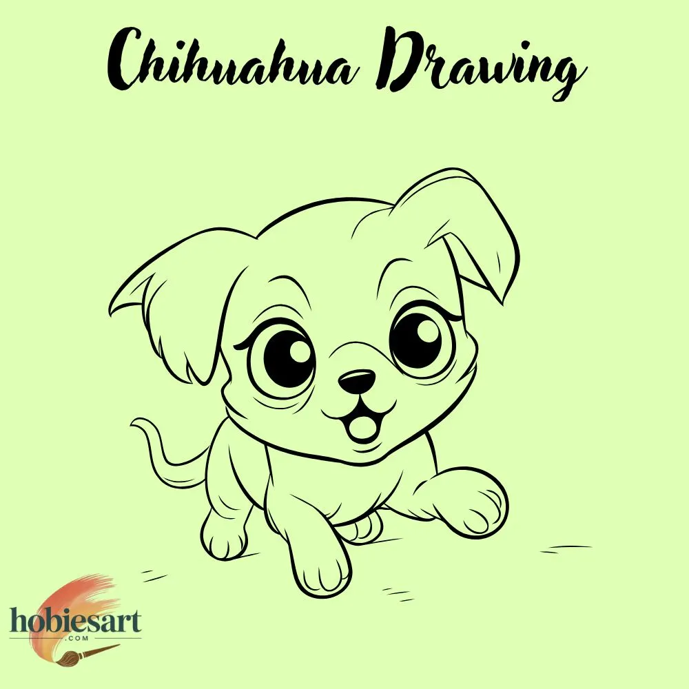 Chihuahua Drawing