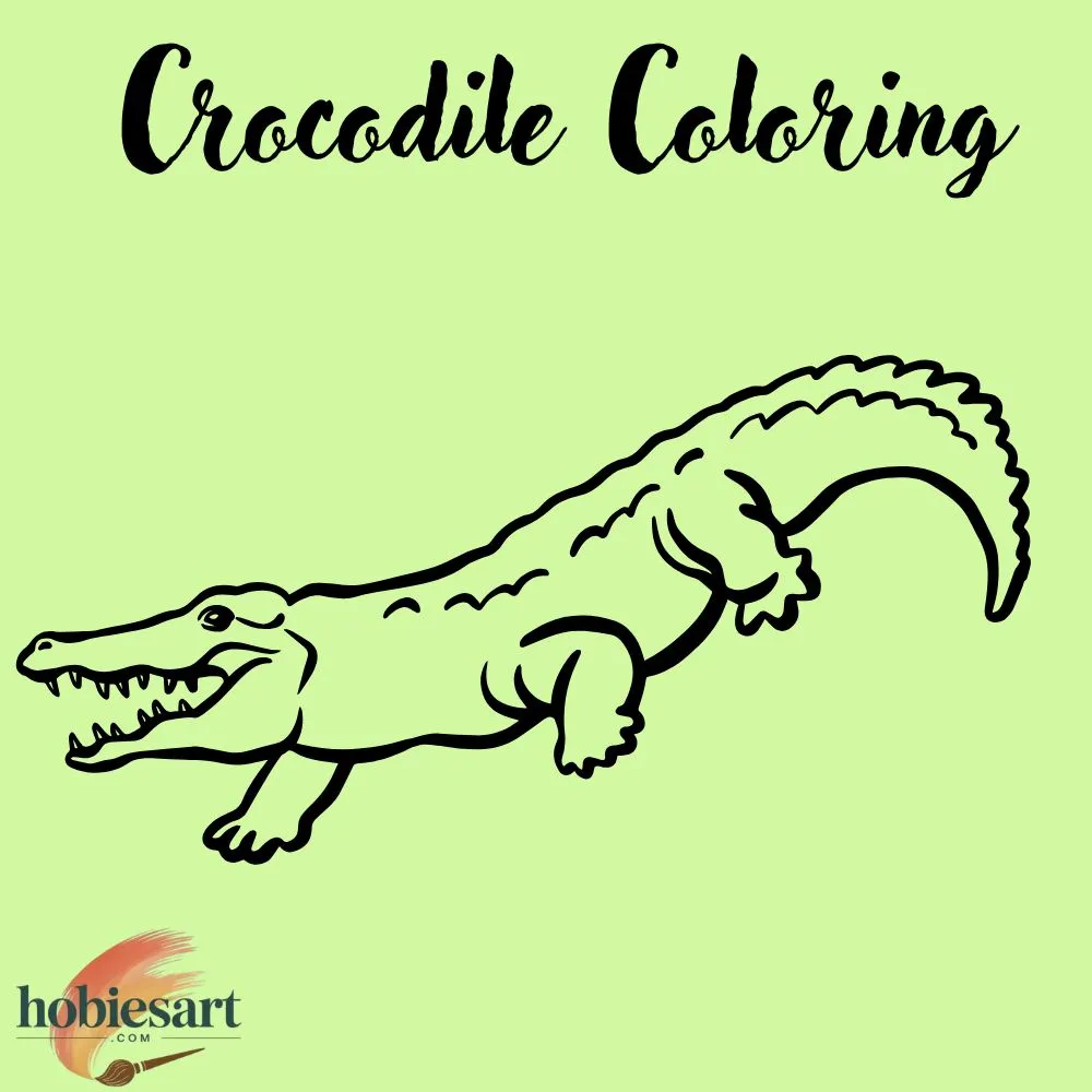 Crocodile Coloring