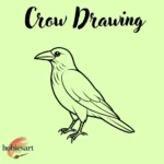 Crow Drawing