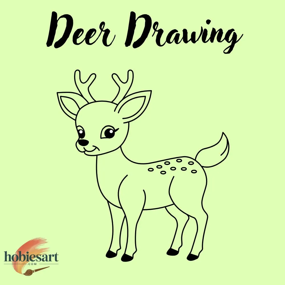 Deer Drawing