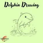 Dolphin Drawing
