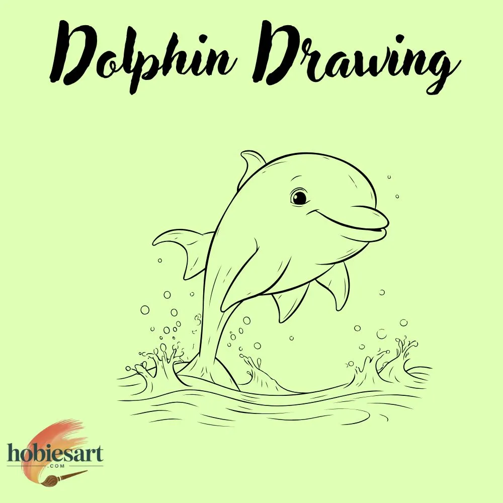 Dolphin Drawing