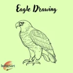 Eagle Drawing