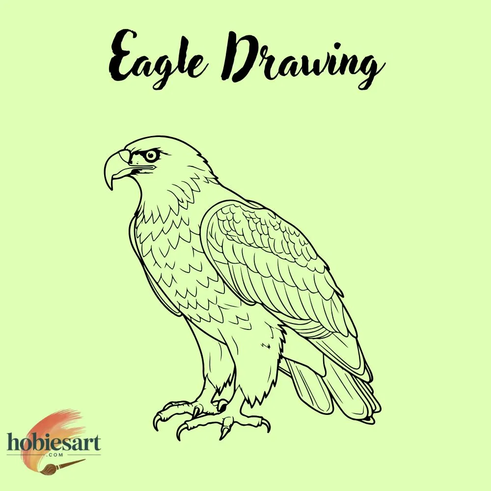 Eagle Drawing