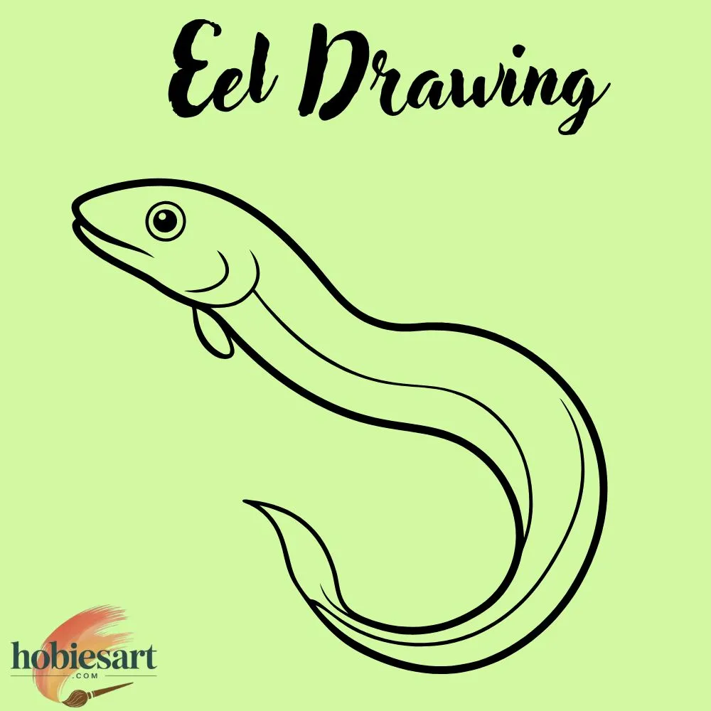 Eel Drawing