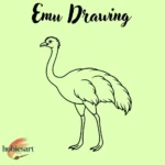 Emu Drawing