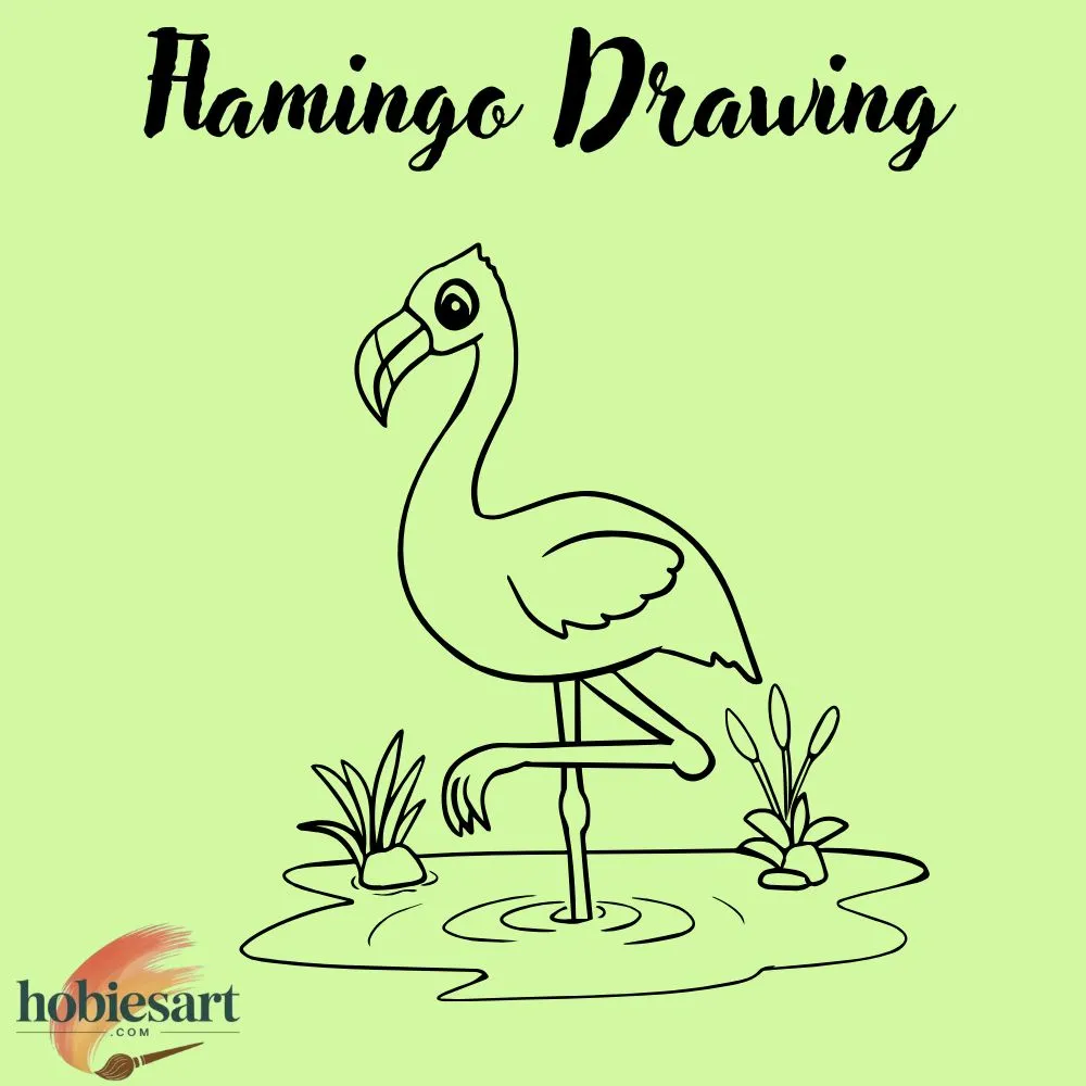 Flamingo Drawing