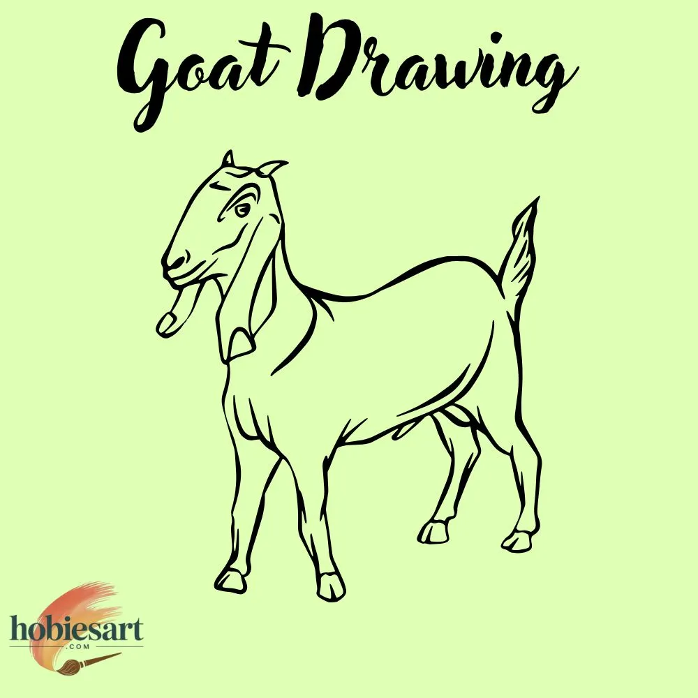 Goat Drawing