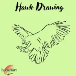 Hawk Drawing