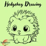 Hedgehog Drawing