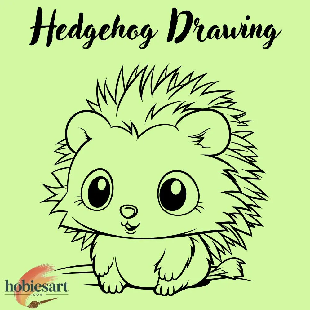 Hedgehog Drawing