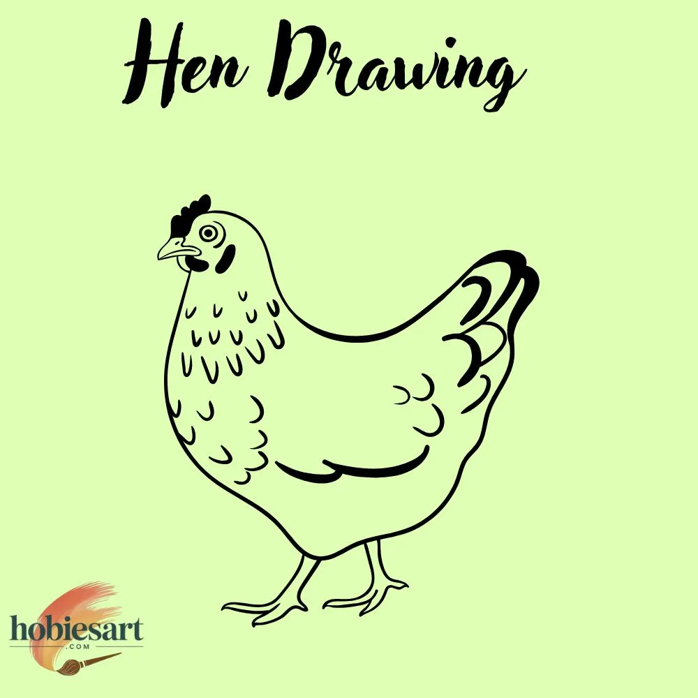 Hen Drawing