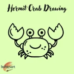 Hermit Crab Drawing