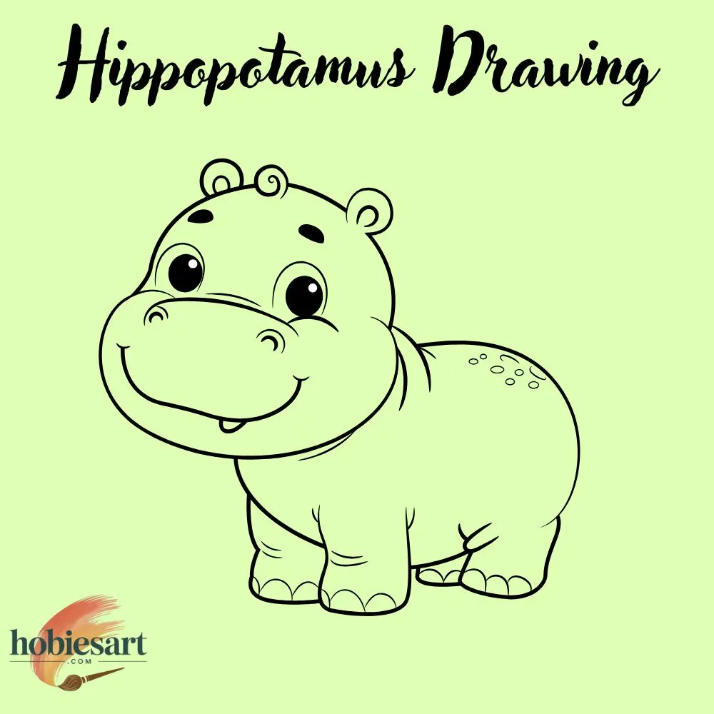 Hippopotamus Drawing