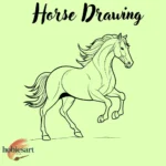 Horse Drawing
