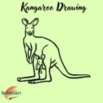 Kangaroo Drawing