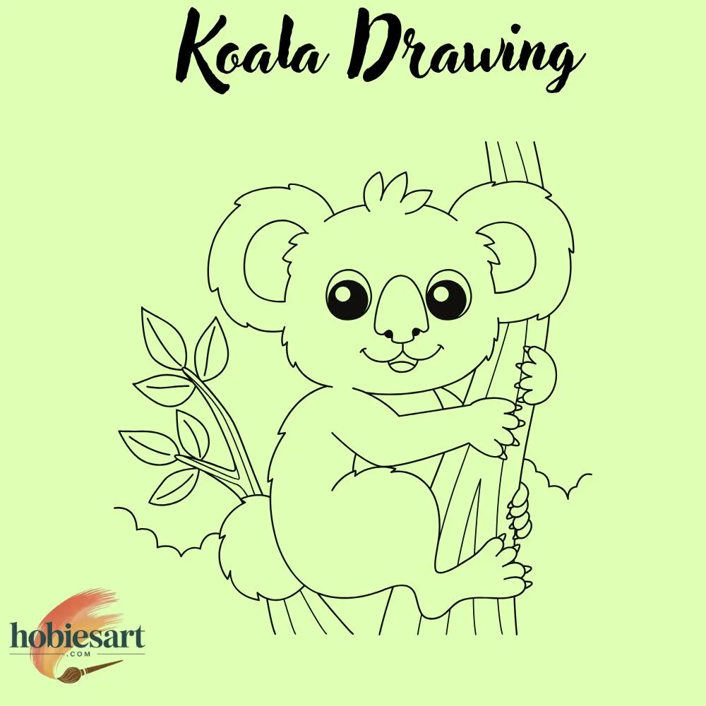 Koala Drawing