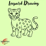 Leopard Drawing