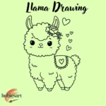 Llama Drawing