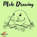 Mole Drawing