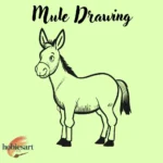 Mule Drawing