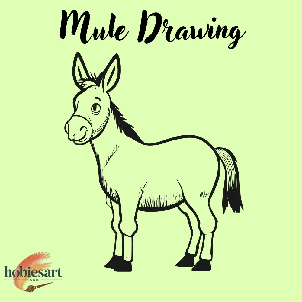 Mule Drawing