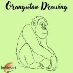 Orangutan Drawing